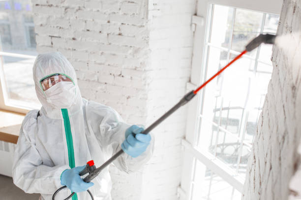 Best Indoor Air Quality Assessment  in Lake Mack Forest Hills, FL