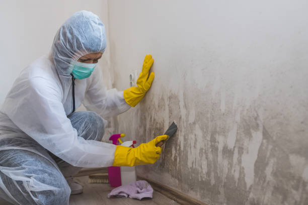 Best Airborne Mold Testing  in Lake Mack Forest Hills, FL