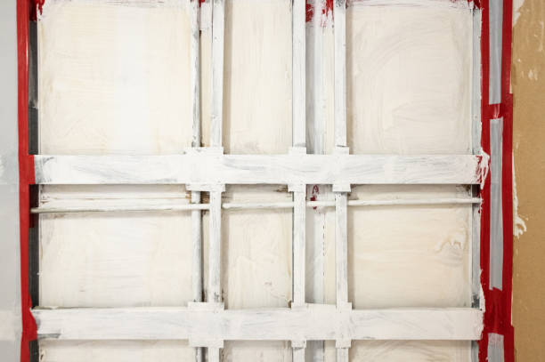 Best Mold Remediation for Healthcare Facilities  in Lake Mack Forest Hills, FL