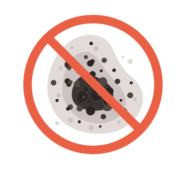 Best Mold Removal for HVAC Installations  in Lake Mack Forest Hills, FL