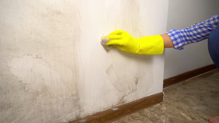 Best Dehumidification Services  in Lake Mack Forest Hills, FL