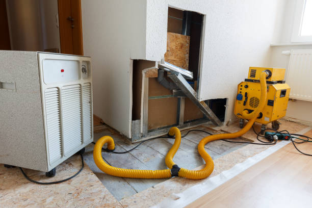 Best HVAC Mold Inspection and Cleaning  in Lake Mack Forest Hills, FL